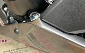 KAWASAKI NINJA 1000 SX 2021 ZXT02K