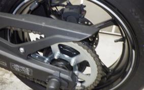 KAWASAKI ZX-4R SE 2024 ZX400P