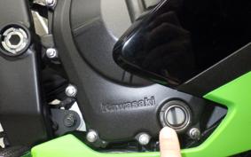 KAWASAKI ZX-4RR 2023 ZX400P