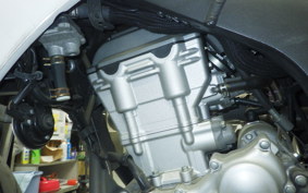 YAMAHA WR250X DG15J