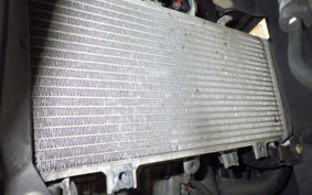 HONDA CBR250RR A 2001