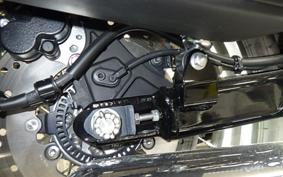 KAWASAKI W800 2025 EJ800E
