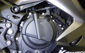 KAWASAKI NINJA 250 2 2021 EX250P