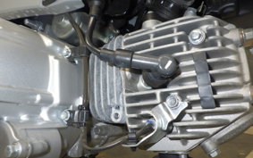 HONDA CROSS CUB 50 2015 AA06