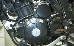 KAWASAKI KLX250D TRACKER X 2014 LX250V
