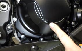 KAWASAKI NINJA 1100SX 2026 ZXT10H