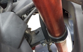 OTHER +GPXﾃﾞｰﾓﾝGR200R