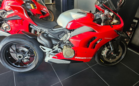 DUCATI PANIGA-REV4 2019 DA00J