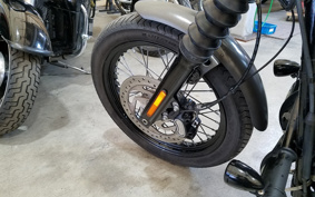 HARLEY FXBB 2019 YJJ