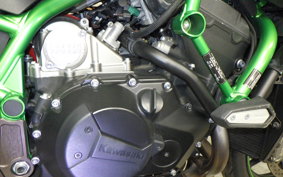 KAWASAKI ZH2 2020 ZRT00K