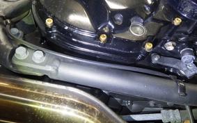 KAWASAKI ZRX1200 D 2009 ZRT20D