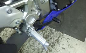 KAWASAKI ZX-4RR 2024 ZX400P