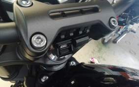 KAWASAKI Z900RS CAFE 2023 ZR900K