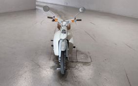 HONDA LITTLE CUB AA01