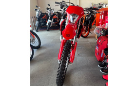 GASGAS EC 250