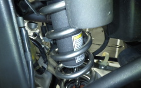 KAWASAKI KLX250D TRACKER X 2017 LX250V