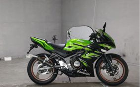 KAWASAKI NINJA150RR KR150P