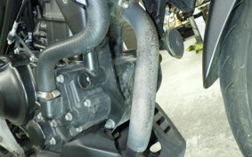 HONDA CB250RA 2026 MC52