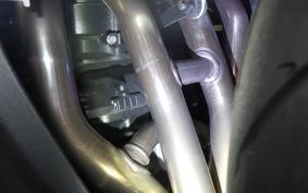 KAWASAKI NINJA1100SX 2025 ZXT10H