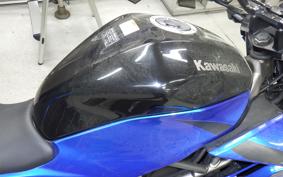 KAWASAKI Z250 SL BR250E