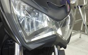 KAWASAKI Z250 2021 ER250C