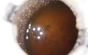 HONDA C50 SUPER CUB AA01