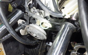 HONDA NS50F 2022 AC08