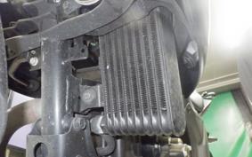 SUZUKI ｼﾞｸｻｰ250 2001 ED22Y