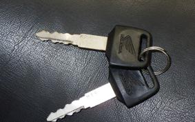 HONDA HORNET 250 MC31