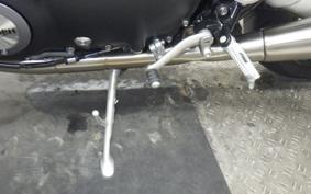 TRIUMPH SPEED TWIN 2024