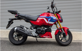 HONDA GROM JC92