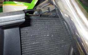 KAWASAKI ZRX1200 D 2013 ZRT20D