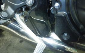 KAWASAKI Z900RS 2024 ZR900K