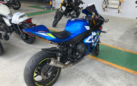 SUZUKI GSX-R1000R ABS 2019 DM11G