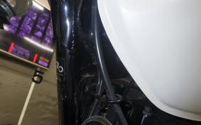 YAMAHA TW225 2025 DG09J