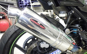 KAWASAKI NINJA 250R 2025 EX250K