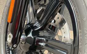 HARLEY FXBBS 2024 YYK