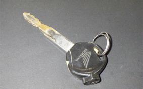 HONDA TACT-4ﾍﾞｰｼｯｸ 2019 AF79