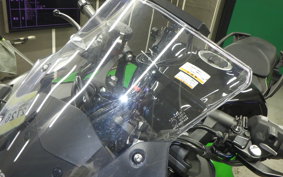 KAWASAKI NINJA 1000 SX 2024 ZXT02K