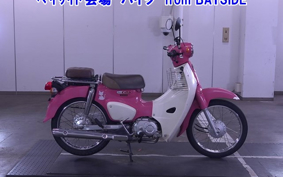 OTHER C110-3