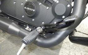 HARLEY XL1200NS 2019