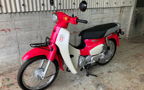 HONDA C110 SUPER CUB JA56
