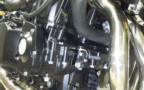 KAWASAKI Z900RS SE 2025 ZR900K