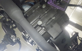 HONDA REBEL 250 A 2024 MC49