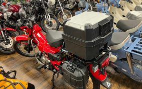 HONDA CT125 HUNTER  CUB  JA65