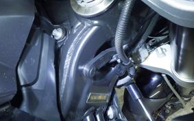 BMW F900XR 2023