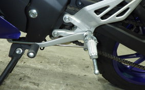 YAMAHA YZF-R15 1999 RG86J