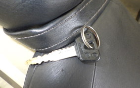 YAMAHA DRAGSTAR 250 VG02J