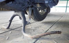 HONDA DIO Z4 GEN 2 2021 AF63