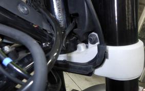 HUSQVARNA SVARTPILEN 250 2020